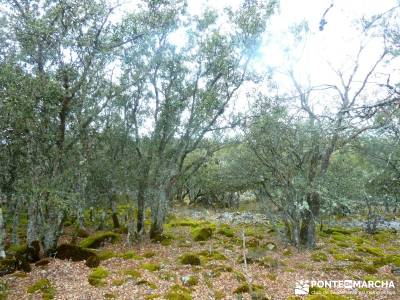 Barranco Río Dulce; tiendas senderismo; sendero verde;desafío senderista